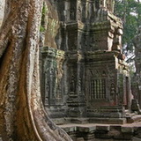 Angkor - Ta Phrom